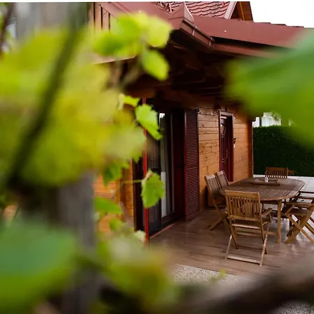 Hisa Rosa Holiday home *