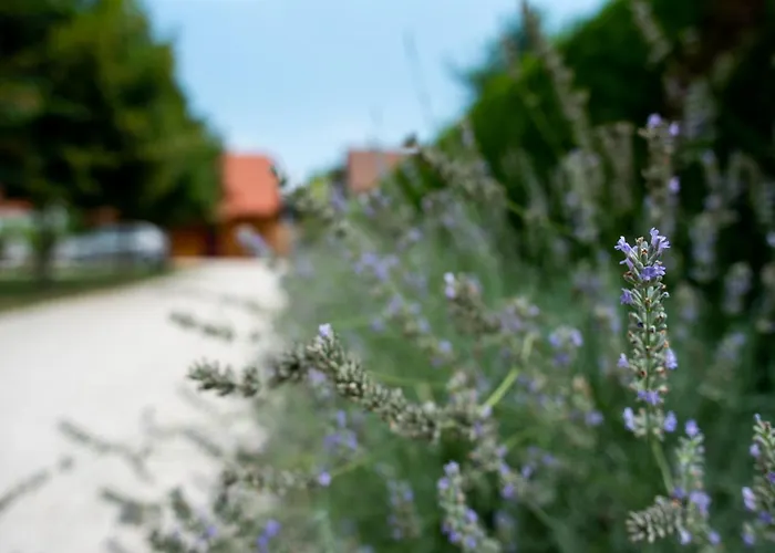 Hisa Rosa Prázdninový dům *